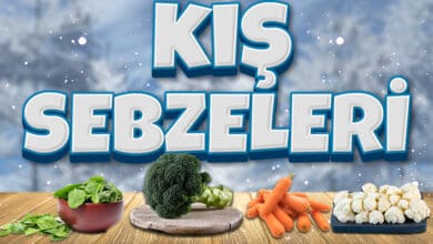 kissebzeleri